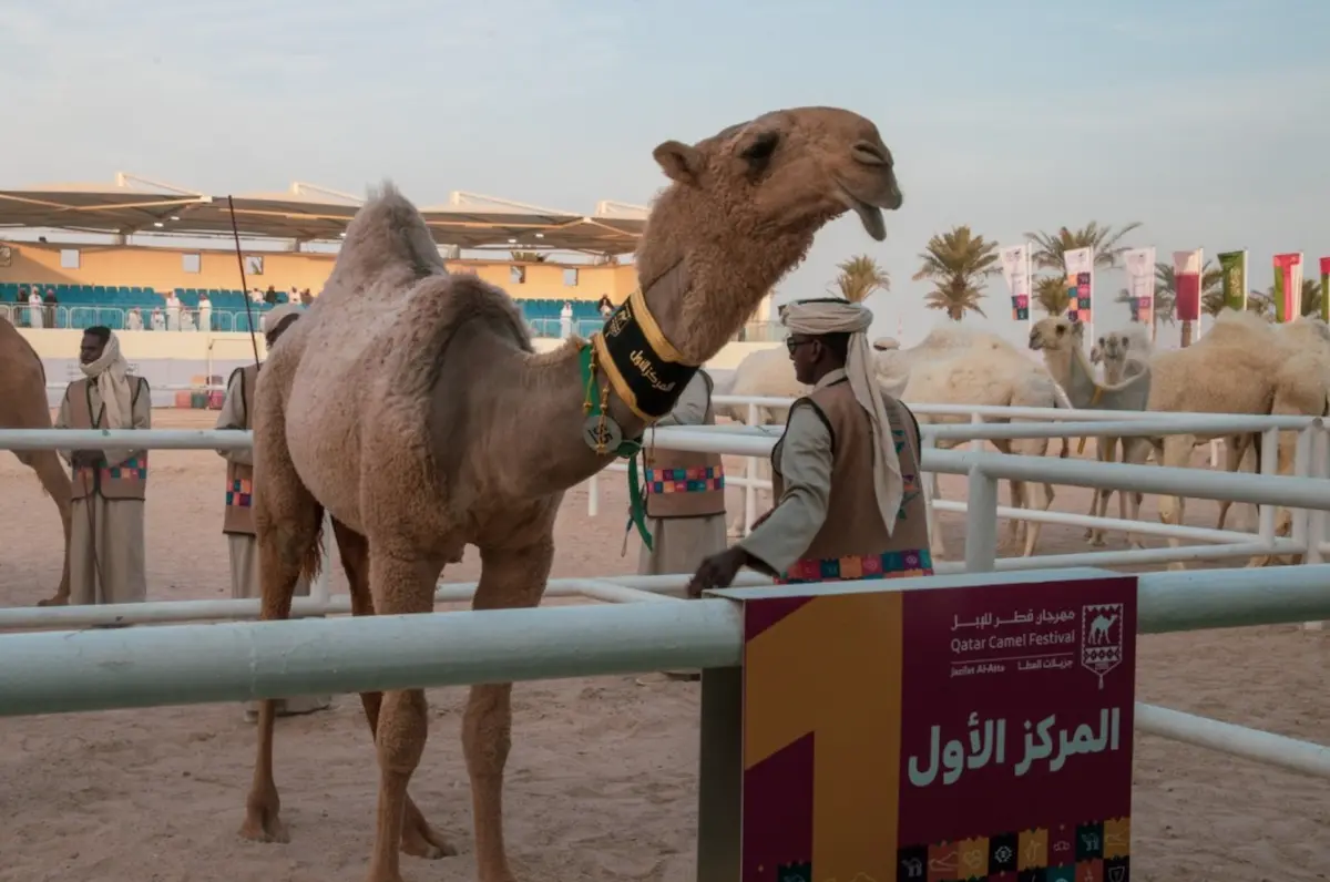 انطلاق مهرجان حلال قطر 2026 في كتارا