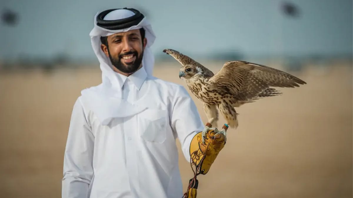 دليلُك الشامل لرياضة الصقارة في قطر