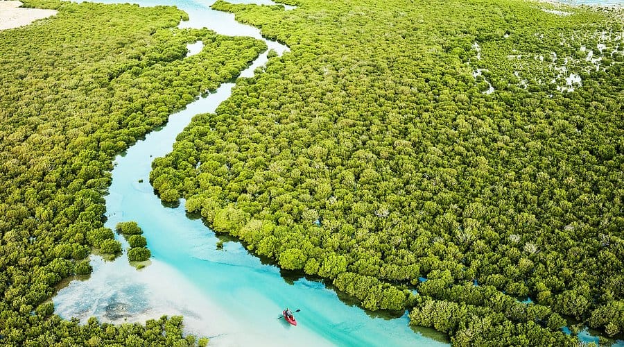 جزيرة بن غنام - ويكيبيديا